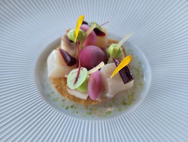 Hamachi tartaar en ceviche, gerookte paling, bieten sorbet, lavas, kumquat vinaigrette bij Vista